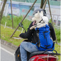 Breathable Hiking Pet Carrier Backpack - Waggy World