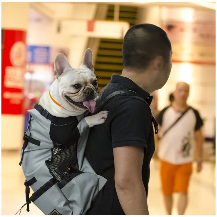 Breathable Hiking Pet Carrier Backpack - Waggy World