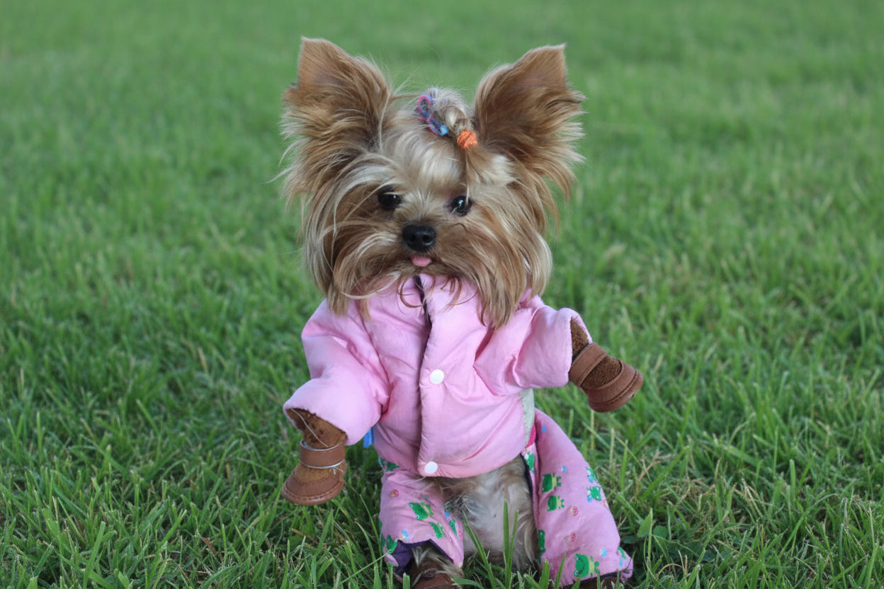 Pet Safety Boots