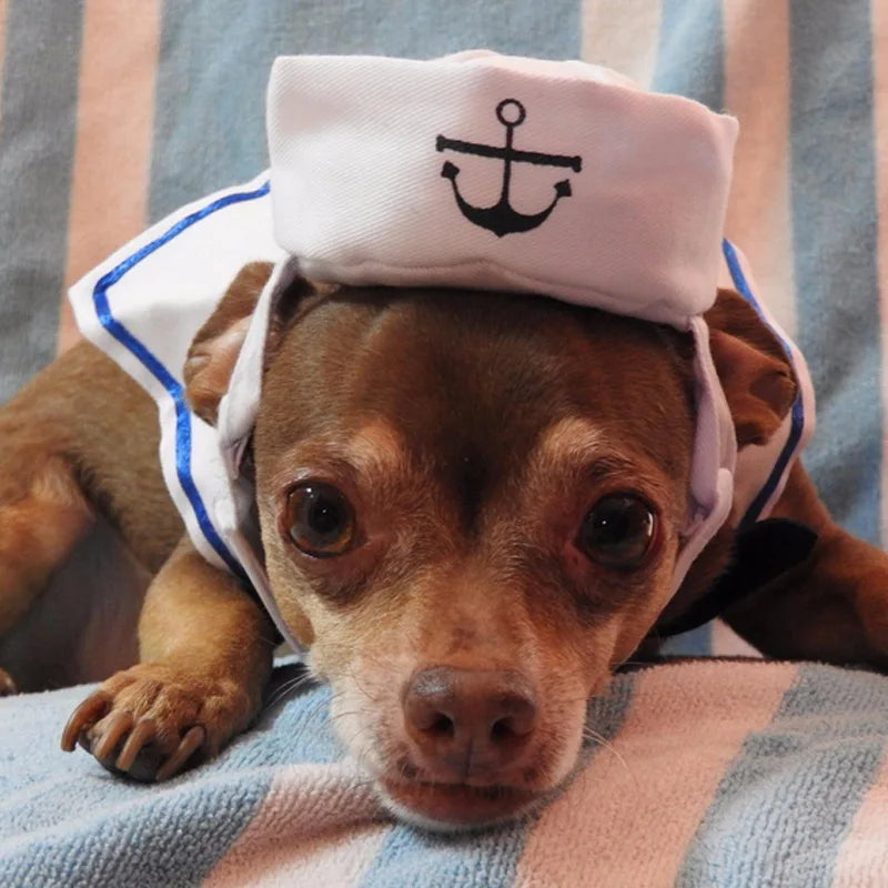 Pet Sailor Costume