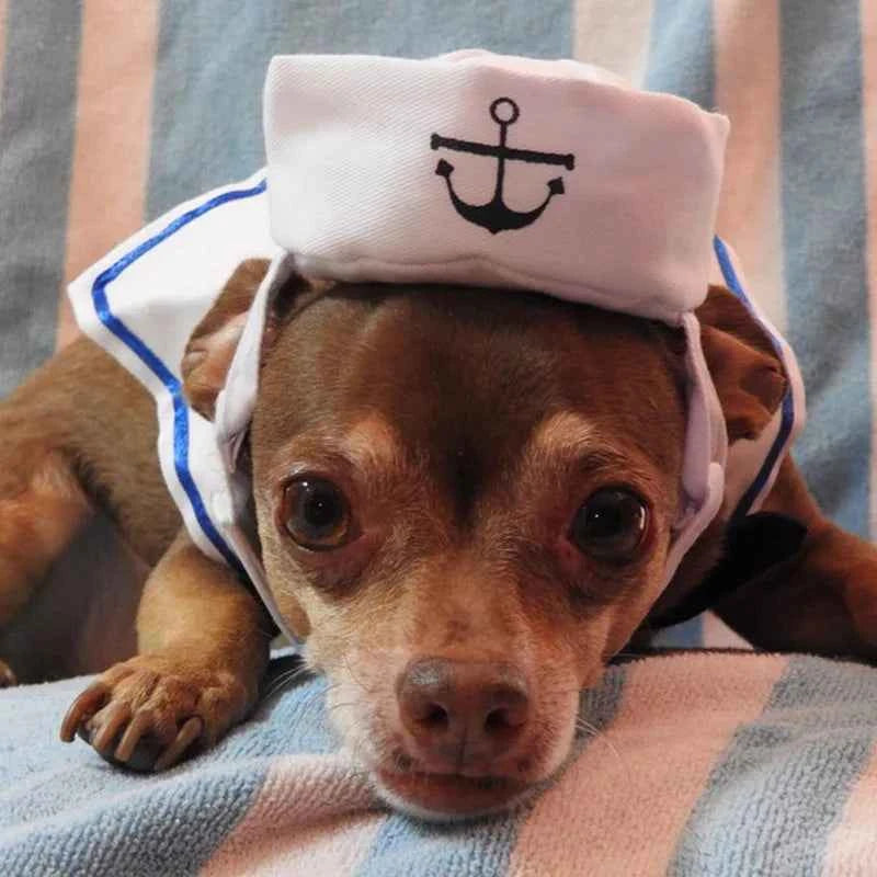 Pet Sailor Costume