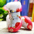 Pet Snow Boots
