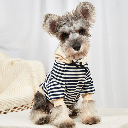 Pet Polo Shirt