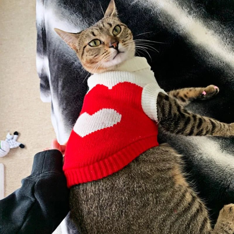 Christmas Cat Dog Sweater Pullover Winter Dog Clothes for Small Dogs Chihuahua Puppy Vest Warm Pet Clothing Cat Knitted Coat