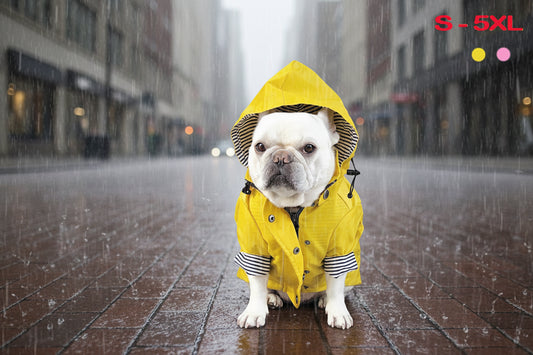 Pet Rain Coat