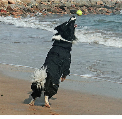 Warm Waterproof Dog Coat