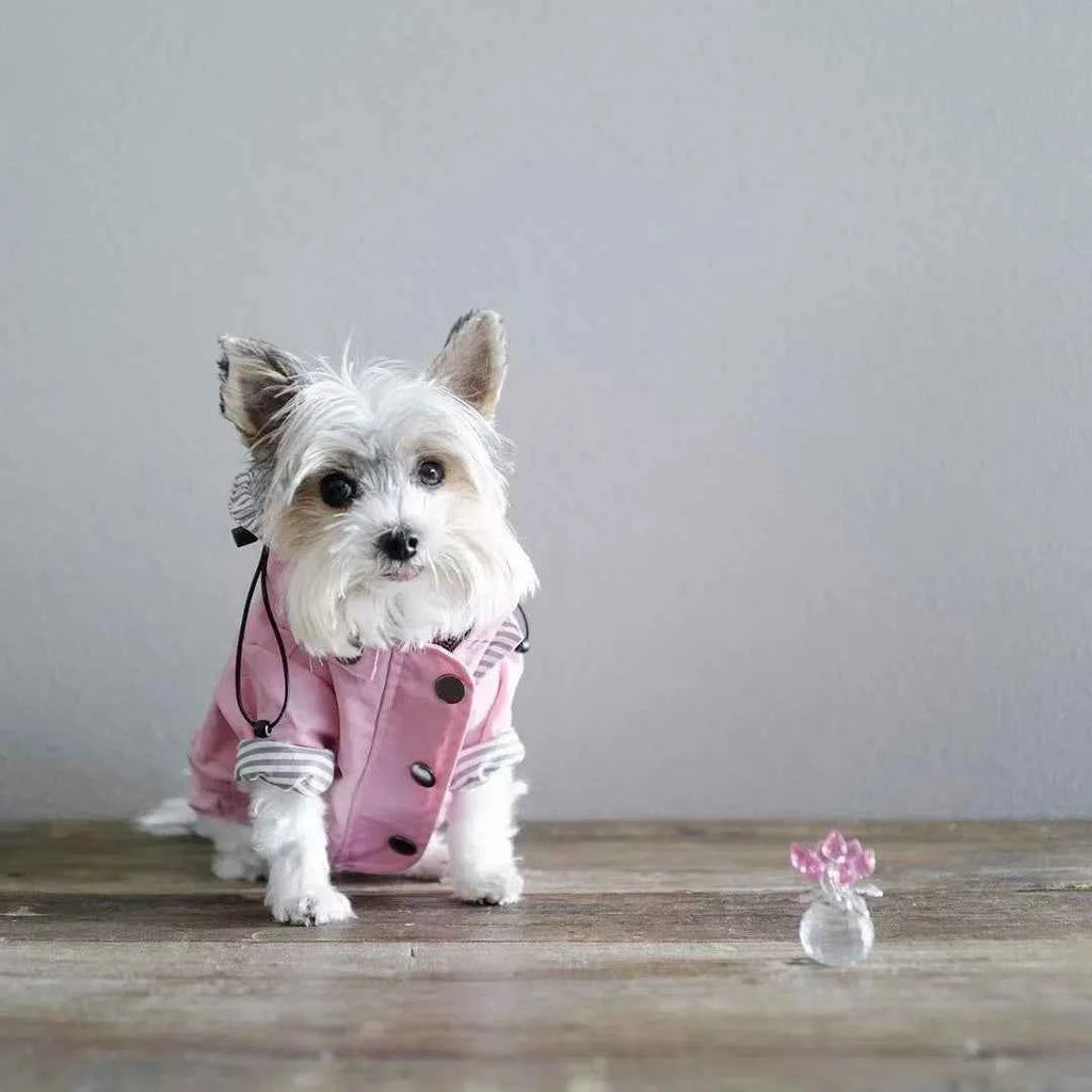 Pet Rain Coat