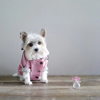 Pet Rain Coat
