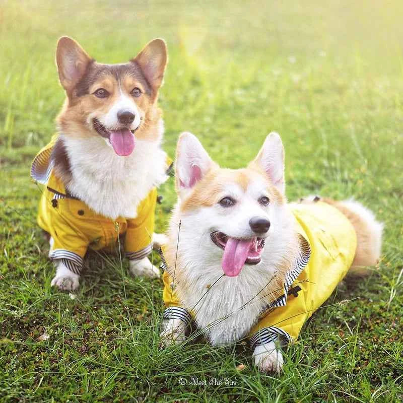 Pet Rain Coat
