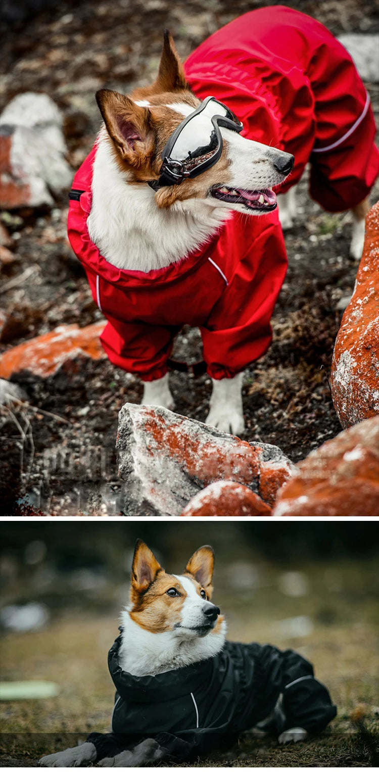Warm Waterproof Dog Coat