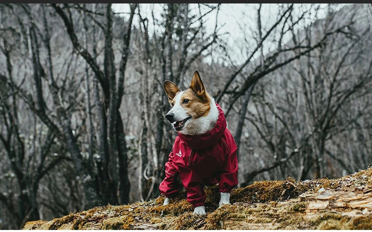 Warm Waterproof Dog Coat