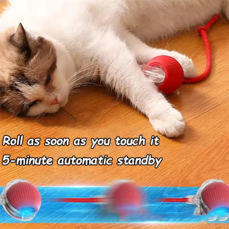 Pet Auto Fetch Ball