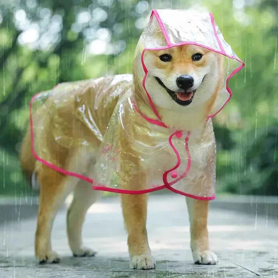 Small Breed Dog Rain Poncho: Keep Your Pup Dry and Happy