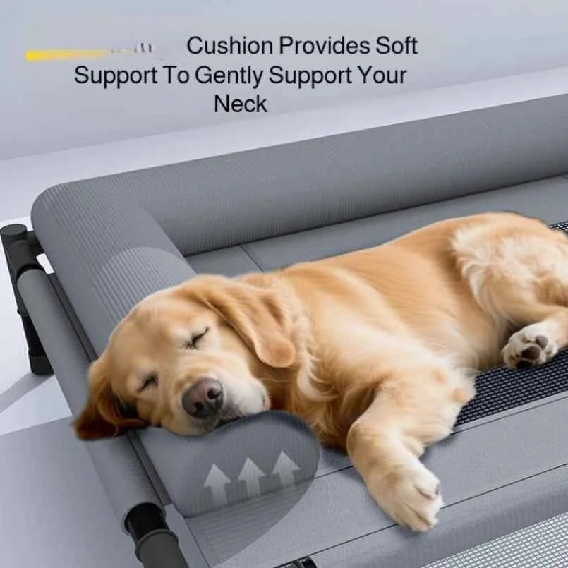 Pet Canopy Bed