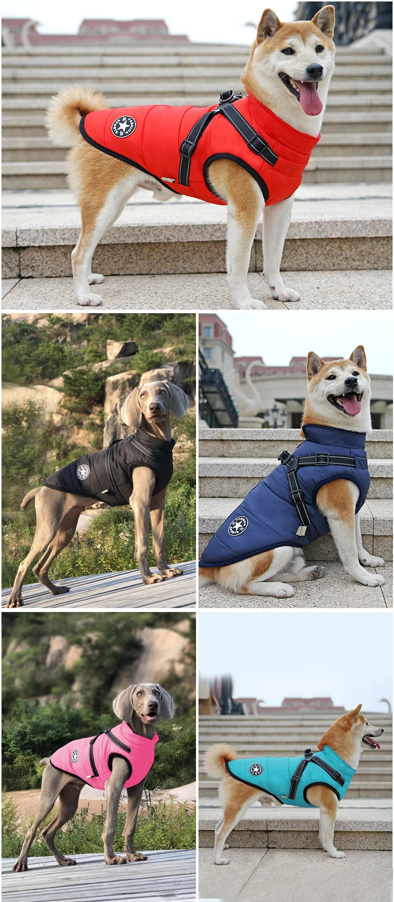 Waterproof Dog Winter Jacket with Harness