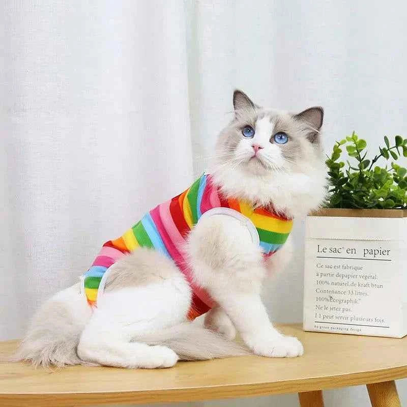 Kitty Recovery Pajamas