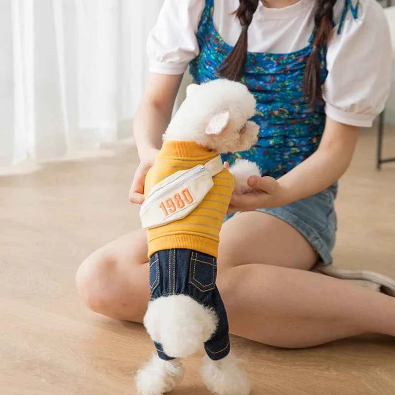 Pup School Outfit