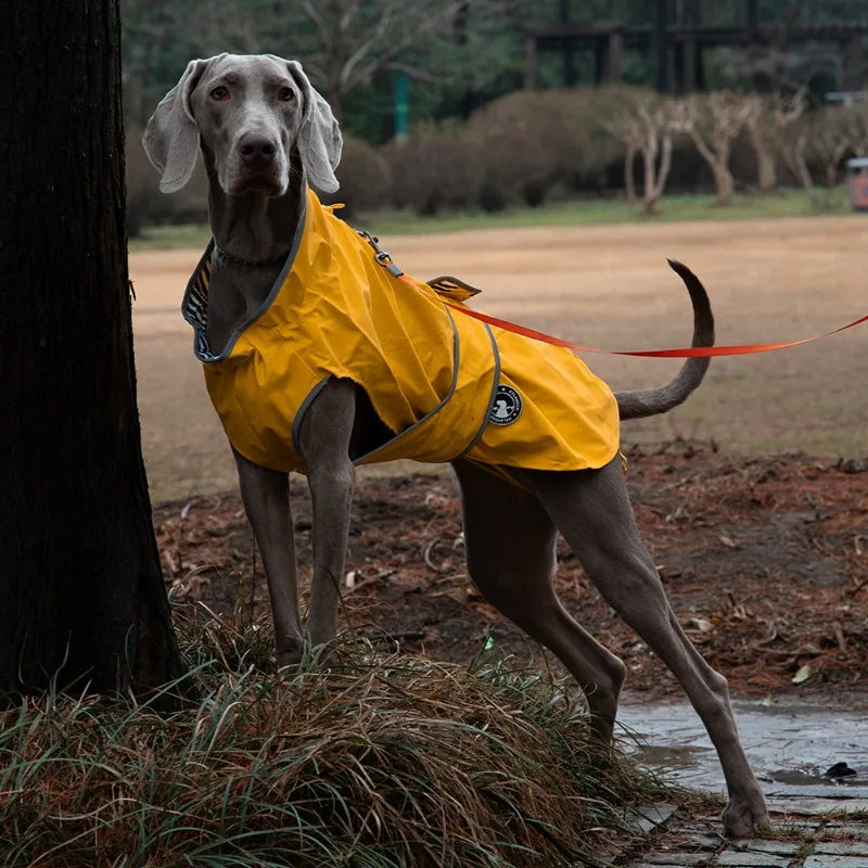 Pet Outdoor Waterproof Jacket