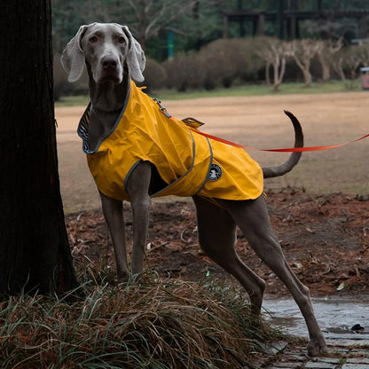 Pet Outdoor Waterproof Jacket