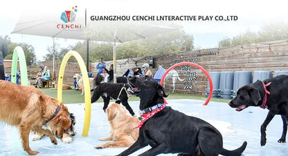 Pet Training System