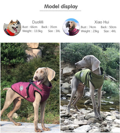 Waterproof Dog Winter Jacket with Harness