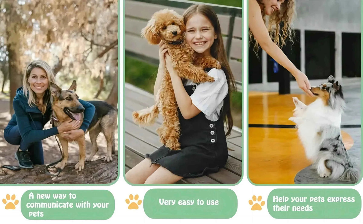 Pet Talking Button