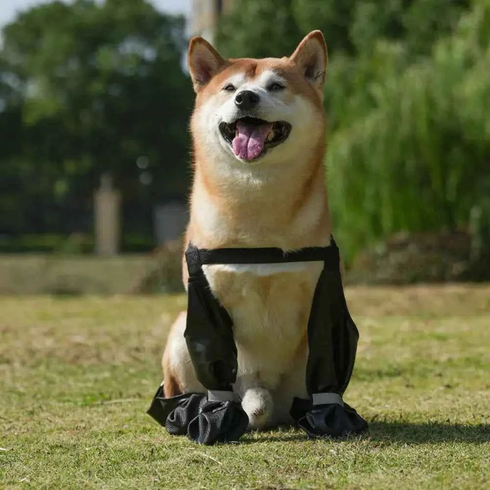 Adjustable  Pet Rain Boots
