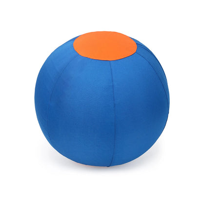 Inflatable Herding Ball for Dogs
