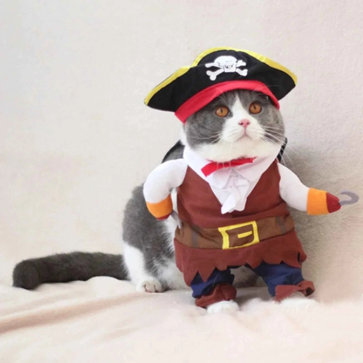 Pet Pirate Costume