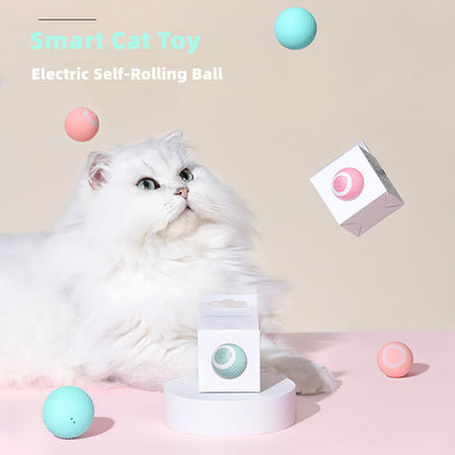 Electric Fetch Ball