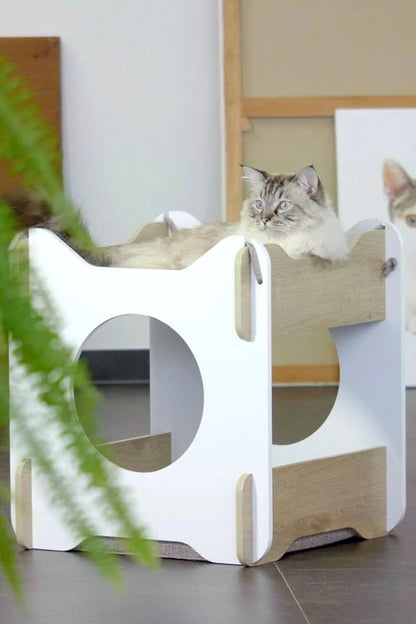 Luxury Wooden Pet House & Kennel