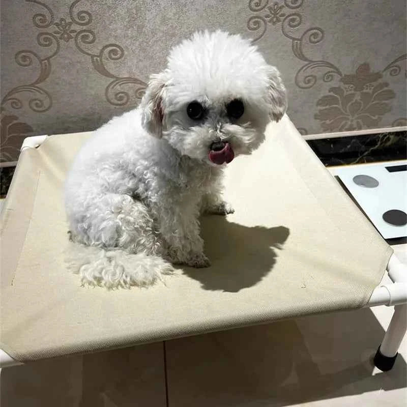 Pet Canopy Bed