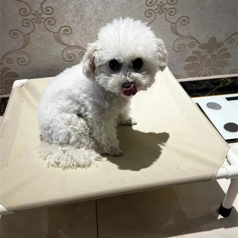 Pet Canopy Bed