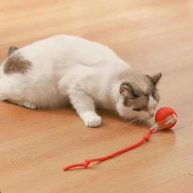 Automatic Rolling Ball