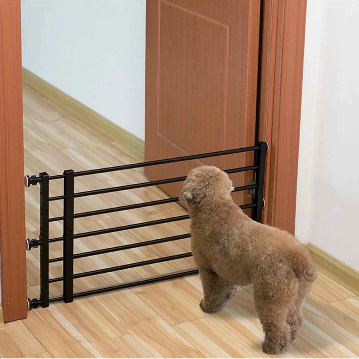 Pet Fence Barrier