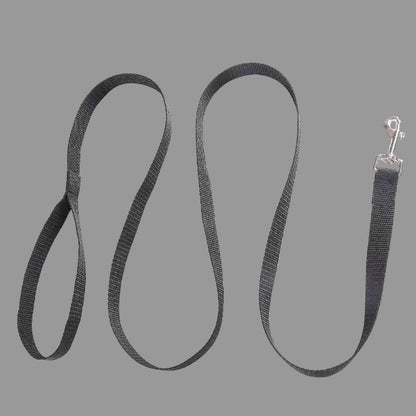 Small Breed Nylon Leash