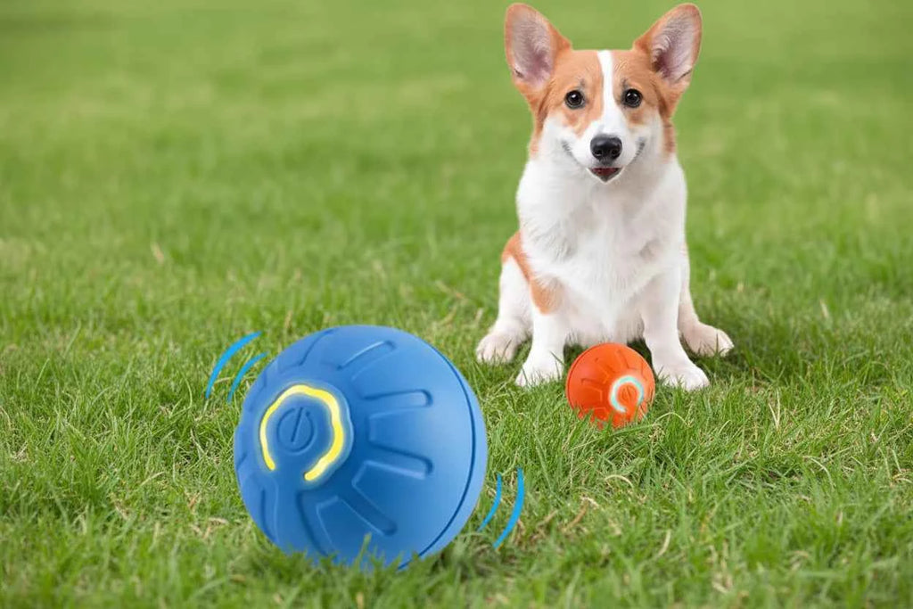 Pet Gravity Ball