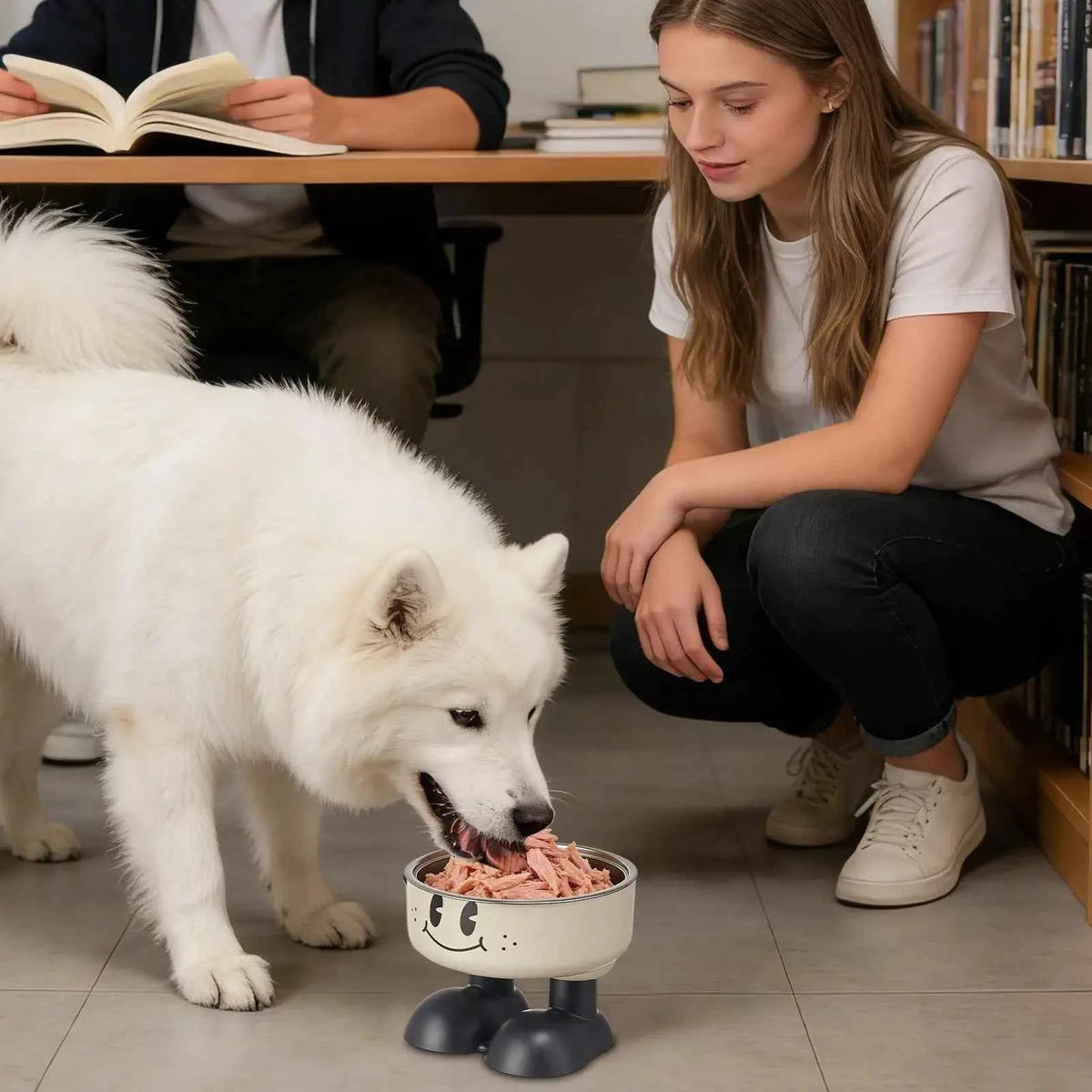 Elevated Stainless steel Water bowl