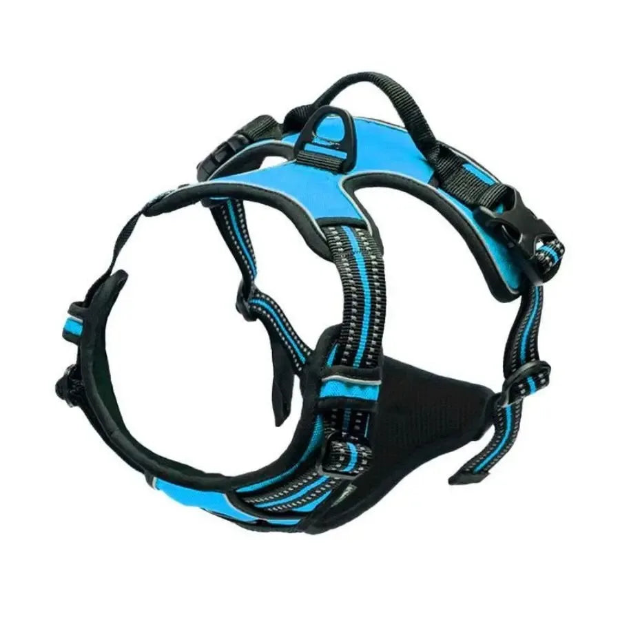 Dog Harness Collar & Leash Set Front View