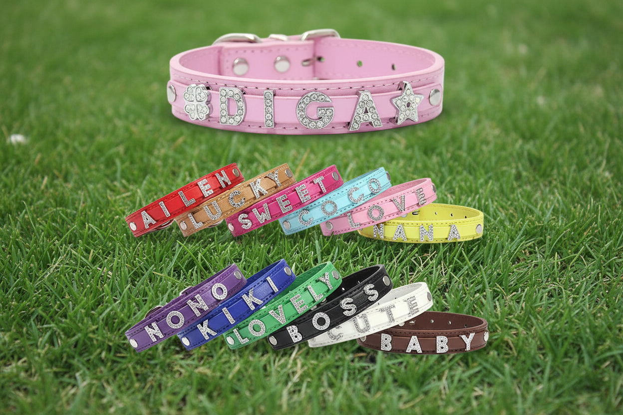 Customizable Pet Collar