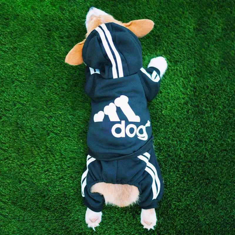 Doggy Sweat suit