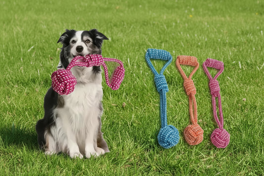 Doggie Tug Rope
