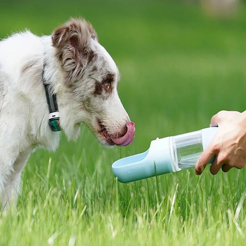 Dog outing water bottle