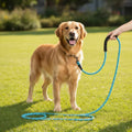 Large Breed Leash