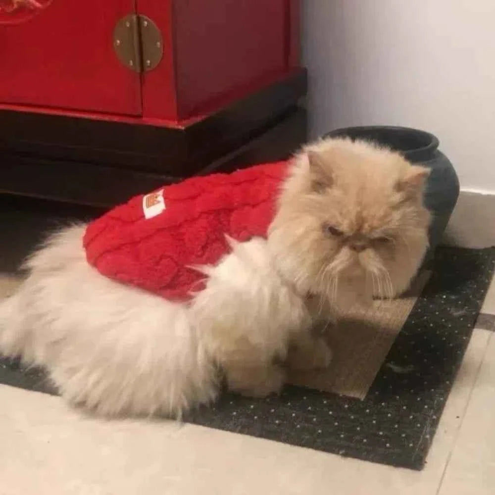 Small Pet Fleece Sweater