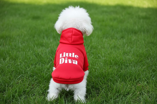 Little Diva Hoodie