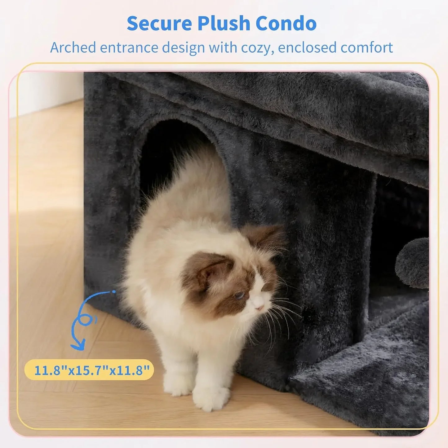 Cat Condo