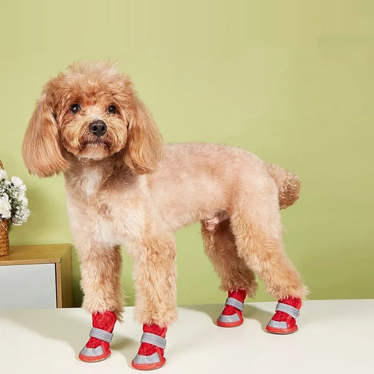 Pet Summer Shoes