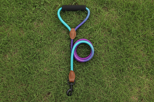 Large Breed Leash
