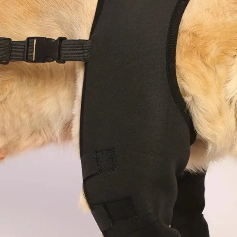 Dog Leg Support Brace
